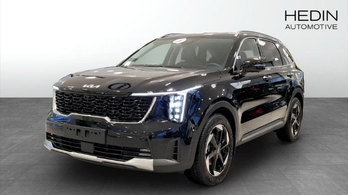 PHEV AUT AWD ADVANCE PLUS PANORAMA