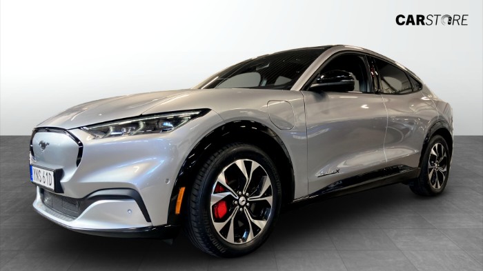 Longe range, AWD, Pano, 360-Kamera, B&O