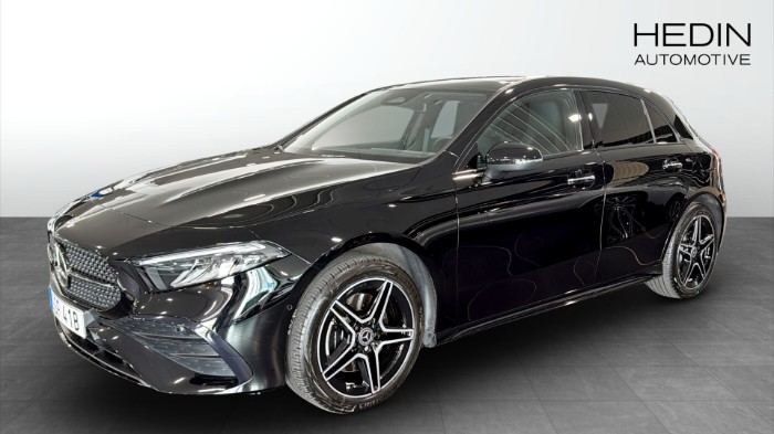 250 E AMG PAKET / PANORAMA GLASTAK