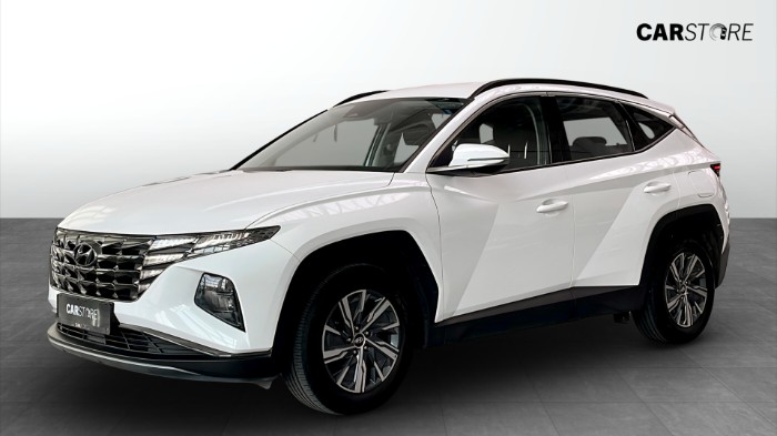 1,6 110kw 6M