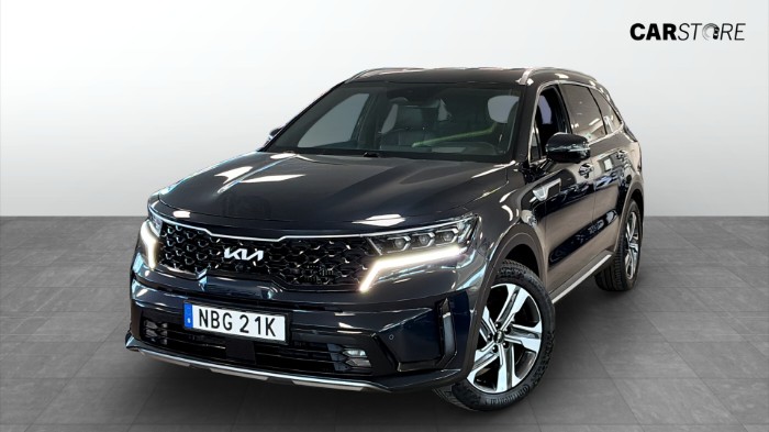 PHEV Aut 265hk Drag HUD 360