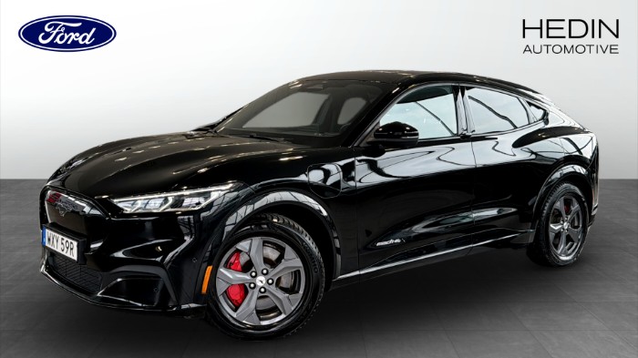 AWD, Long Range, (99 KWH) 351 HK