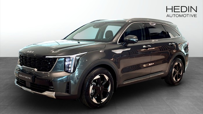 Plug-in Hybrid Advance Plus Panorama