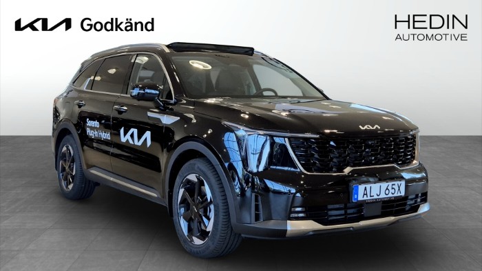 PHEV AUT AWD ADVANCE PLUS PANORAMA