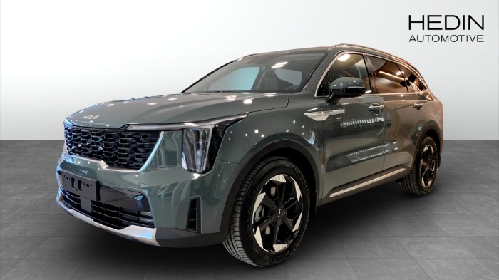 AWD PHEV ADVANCE