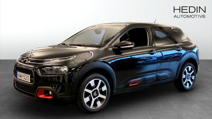 C4 Cactus