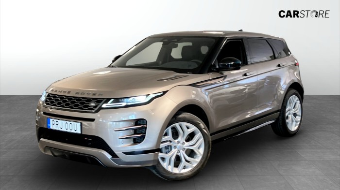 P200 AWD R-Dynamic SE|Drag|Kamera|MOMS|