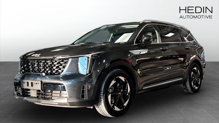 PHEV AUT AWD ADVANCE PLUS PANORAMA FRIA V-Hjulskampanj