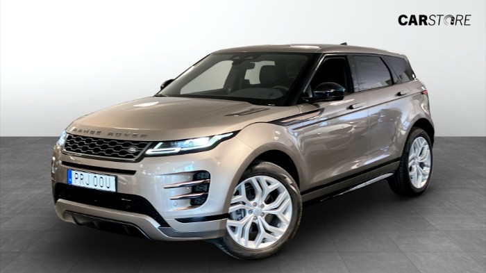 P200 AWD R-Dynamic SE|Drag|Kamera|MOMS|