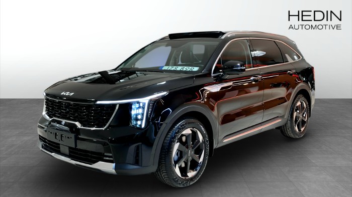 Phev Advance Plus Panorama 7-sits *V-hjul ingår*