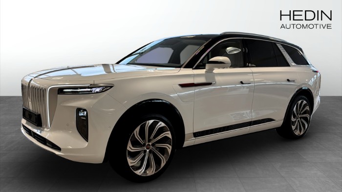 E-HS9 EXCLUSIVE LR 6 SITS GREY/WHITE INTERIOR  EXCLUSIVE LR 6 SITS * 15000.- Hedin supercharge