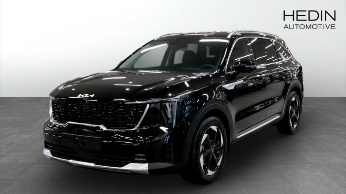 Plug-in Hybrid Advance Plus Soltak