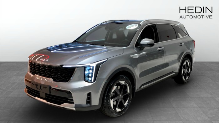 PHEV AUT AWD ADVANCE PLUS PANORAMA *Kampanj*