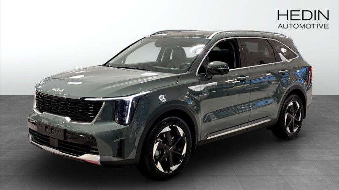 SOPHEV AUT AWD ADVANCE PLUS PANORAMA V-hjul ingår