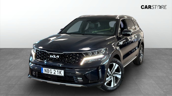 PHEV Aut 265hk Drag HUD 360