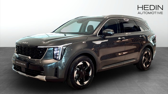 Plug-in Hybrid Advance Plus Panorama