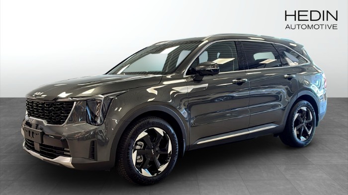 PHEV AUT AWD ADVANCE PLUS FRIA V-Hjulskampanj