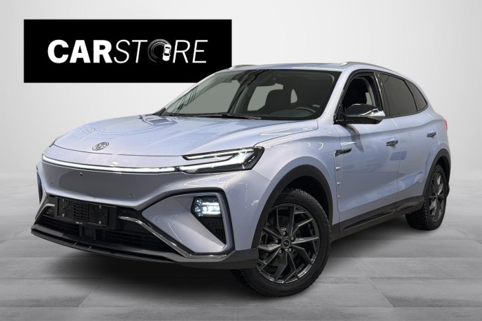 Performance AWD / 2x Renkaat / Lämpöpumppu / 360- kamera / Panorama / Navi /