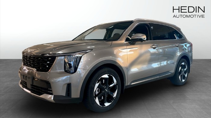 Plug-In Hybrid Advance Plus Panorama