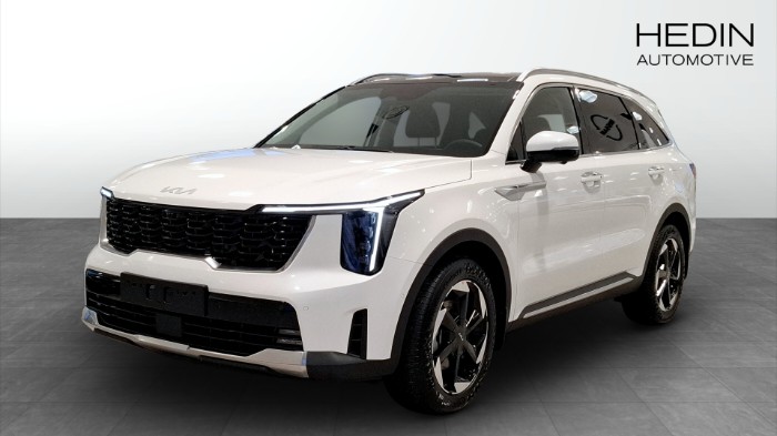 PHEV AUT AWD ADVANCE PLUS PANORAMA