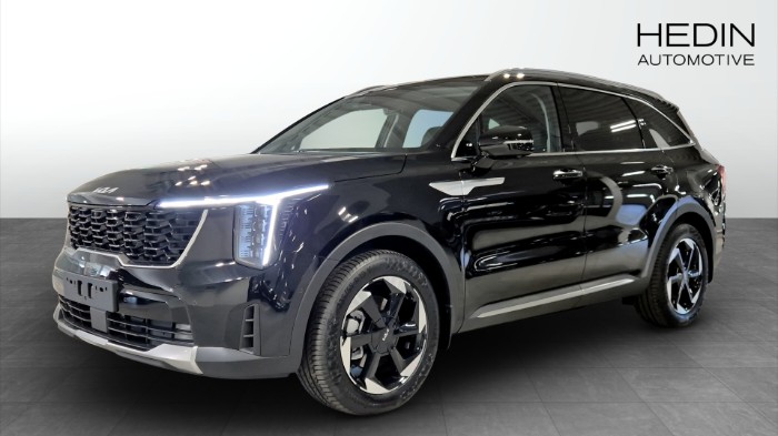 Plug In Hybrid AUT AWD ADVANCE PLUS