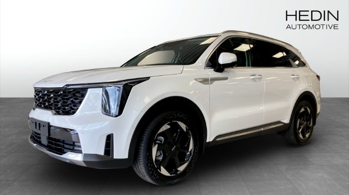 PHEV AUT AWD ADVANCE PLUS FRIA V-Hjulskampanj