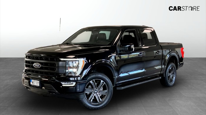 SUPERCREW 5.0 V8 4X4 406HK|Pano|MOMS|Drag|