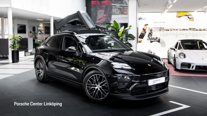 Macan