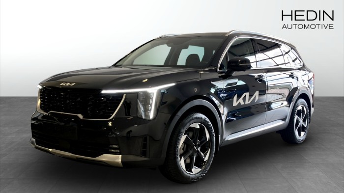PHEV AUT AWD ADVANCE PLUS PANORAMA DEMOBIL