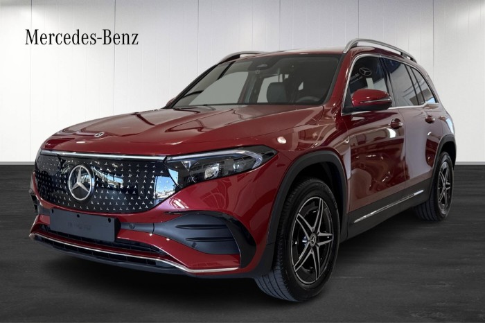 250 +  AMG Line *LAGERBIL*